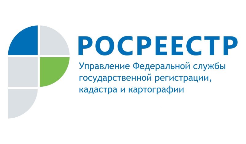 Площадь российских лесов в ЕГРН  уменьшилась на 278 миллионов гектар