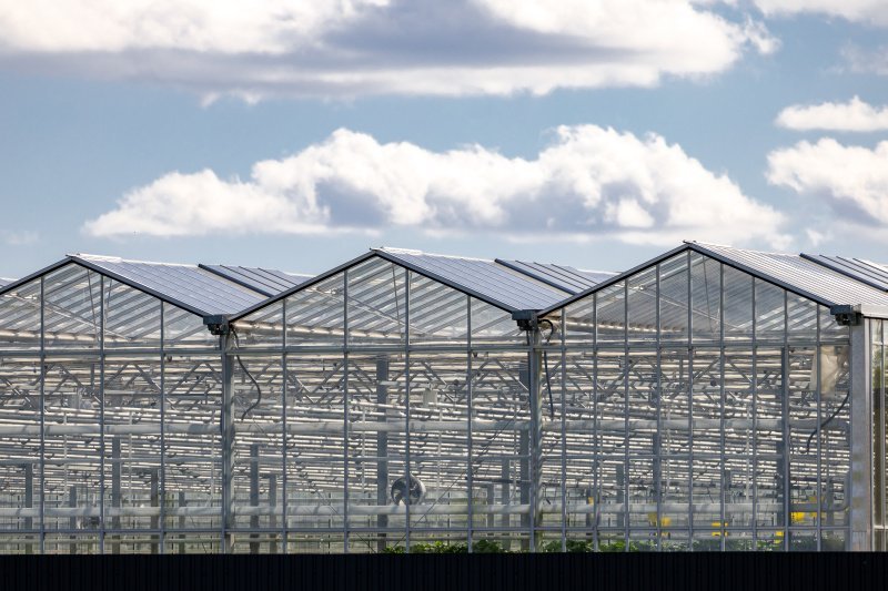 Динамичный сегмент: новый формат недвижимости завоевывает российский рынок