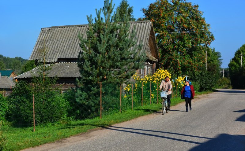 Петербург потратит почти 450 миллионов на развитие садовых товариществ