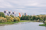 Экологическое счастье: теория и практика озеленения сибирских городов