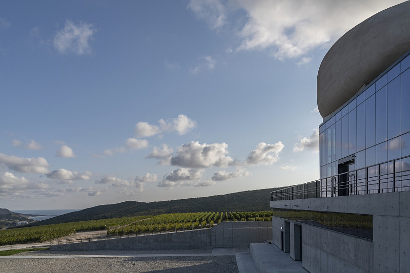 В Краснодарском крае построили винодельню гравитационного типа