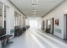 Комфортное образование. На что надо обратить внимание при ремонте школы и подготовке к новому учебному году 