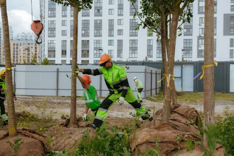 «Брусника» привезла сотни тысяч растений из европейских питомников 