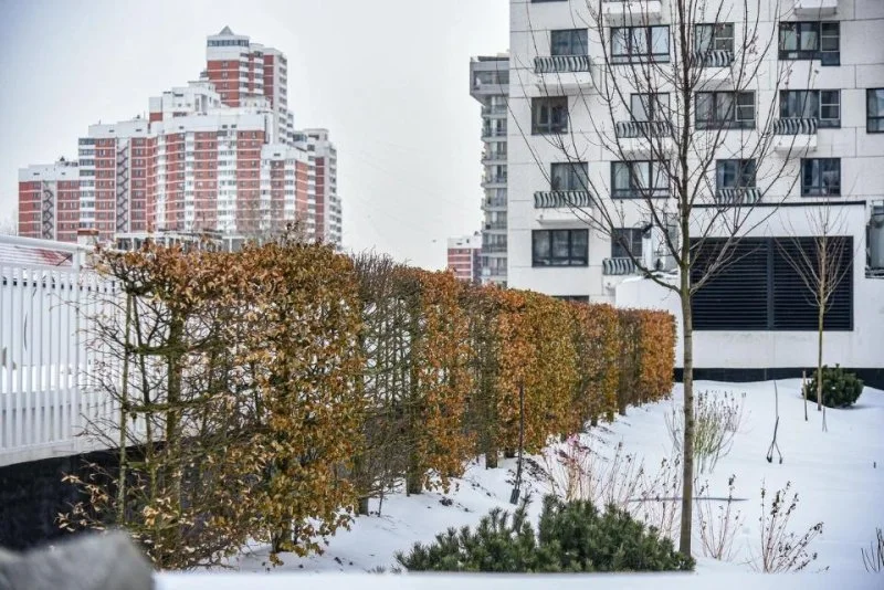 В ландшафтном парке на северо-западе Москвы появится два амфитеатра