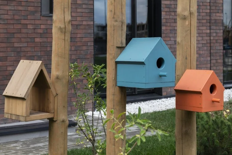 В московском районе Нагатино появится «Мир птиц» - Строительная газета